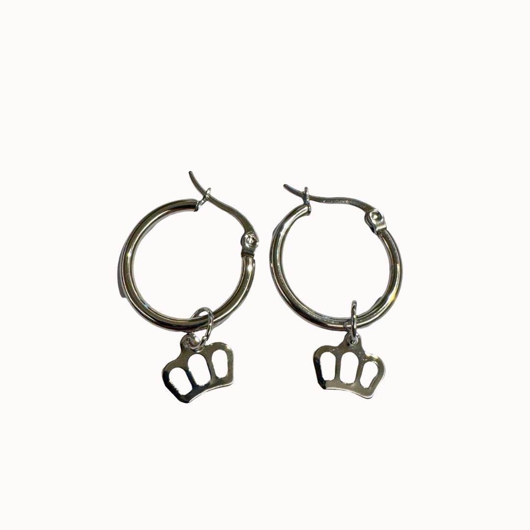 Caravana AQ Plateada 04/2025 3