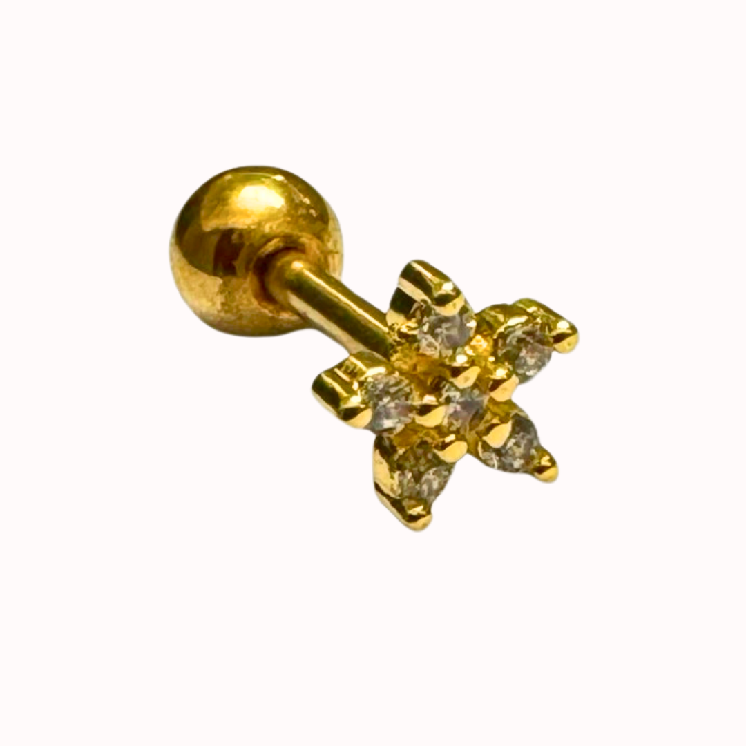 Piercing 25