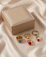 SET DE 5 ANILLOS DE ACERO 001