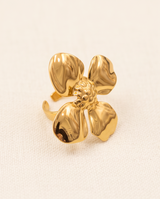 ANILLOS DE ACERO DE DAMA PARA TODOS LOS TAMAÑOS