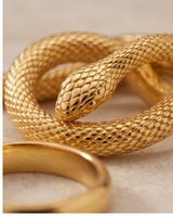 ANILLOS DE ACERO DAMA CON FORMA DE VÍBORA