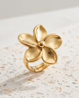 ANILLO DE DAMA ACERO PARA MÚLTIPLES TALLES