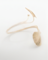 BRAZALETE DE DAMA EN FANTASÍA 102