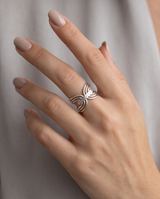 Anillos de Acero colección 2026