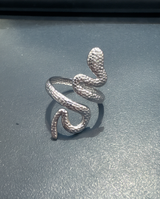Anillos de Acero colección 2026