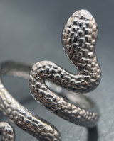Anillos de Acero colección 2026