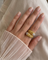 ANILLOS DE ACERO COLECCION 2027