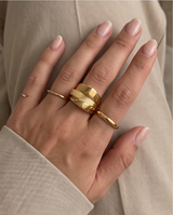 ANILLOS DE ACERO VIP COLECCION 2027