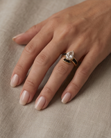 ANILLOS DE ACERO VIP COLECCION 2027