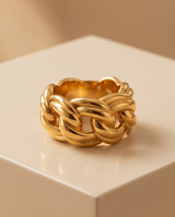 ANILLOS DE ACERO VIP COLECCION 2027