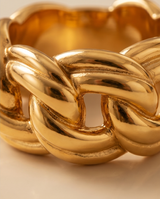 ANILLOS DE ACERO VIP COLECCION 2027