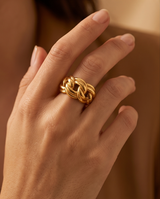 ANILLOS DE ACERO VIP COLECCION 2027