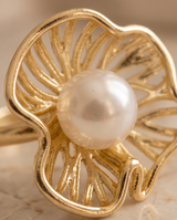 ANILLOS DE ACERO VIP COLECCION 2027