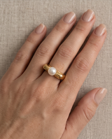 ANILLOS DE ACERO VIP COLECCION 2027