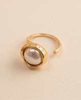 ANILLOS DE ACERO VIP COLECCION 2027