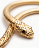 COLLAR DE DAMA EN FANTASIA FLEXIBLE