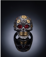 Anillo de Acero quirúrgico plateado con Rubi colección 2027