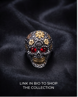 Anillo de Acero quirúrgico plateado con Rubi colección 2027