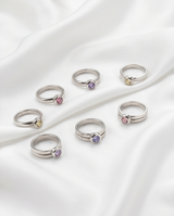 Anillos X6  2025  3