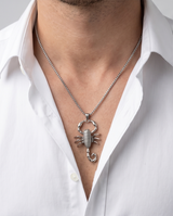 Collar de hombre 6 FANTASIA