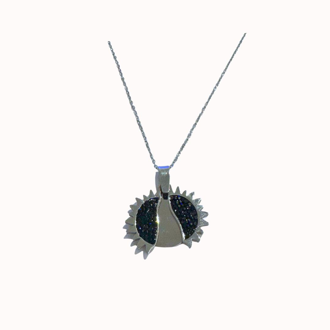 Collar acero quirúrgico mujer 04/2025 4